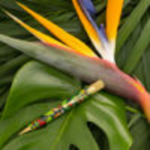 Retro 51 Rainforest Rollerball Pen NEW SEALED